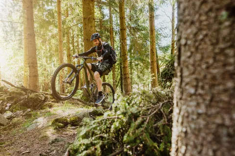 En cyklist på mountainbike cyklar på en stenig stig i barrskog på Söderåsen, med solstrålar mellan träden.