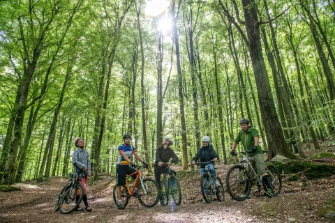 Fem cyklister med hjälmar står med mountainbikes på en stig i lövskog på Söderåsen, med solstrålar genom träden.