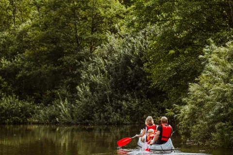 Två personer paddlar en kanot på på Rönne Å vid Söderåsen, omgivna av tät grön skog och buskar i dagsljus.