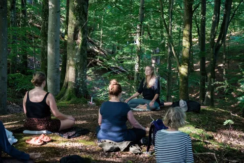 En liten grupp sitter på mattor i en grön skogsglänta och mediterar i stillhet i fläckigt solljus.