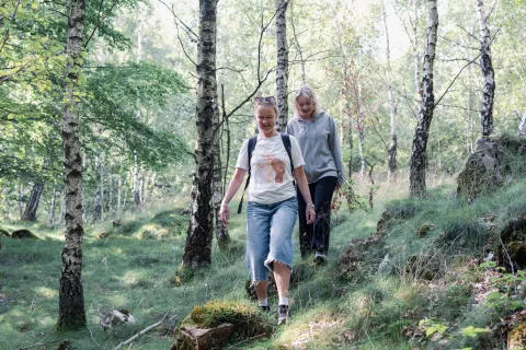 Två personer vandrar i en björkskog på Söderåsens Nationalpark, med ryggsäck och vardagskläder.