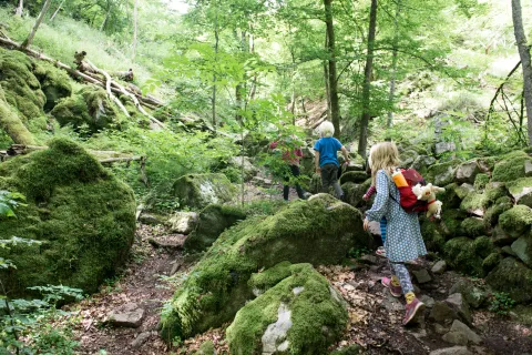 Tre barn vandrar uppför en stenig stig i grön lövskog på Söderåsen med mossklädda klippor och träd i dagsljus.