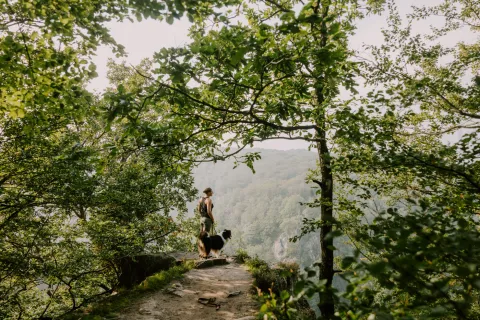 Vandrare och hund tittar ut över skärdalen på Söderåsen. Det är sommar och de är omgivna av grönskande bokskog. 
