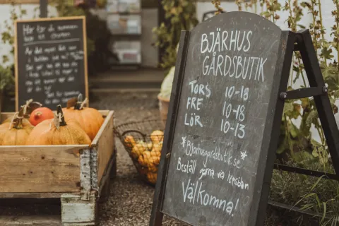 Svart griffeltavla med öppettider utanför en Bjärhus gårdsbutik, bredvid en trälåda med pumpor och grönska.