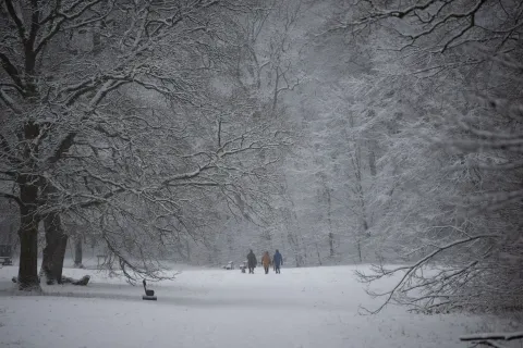 Snö i Nackarpsdalen med frostiga träd och tre personer som promenerar bort i dimmig vintermiljö.