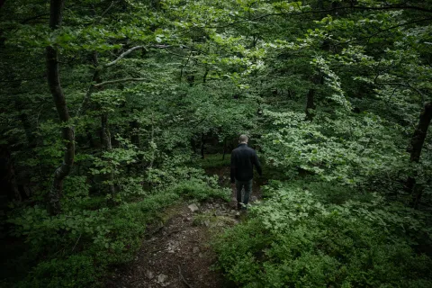 Sebastian Mullaert sedd bakifrån leder en guidad tur i skogen och går nerför en smal stig i tät, grön lövskog med buskar och träd runtom. 